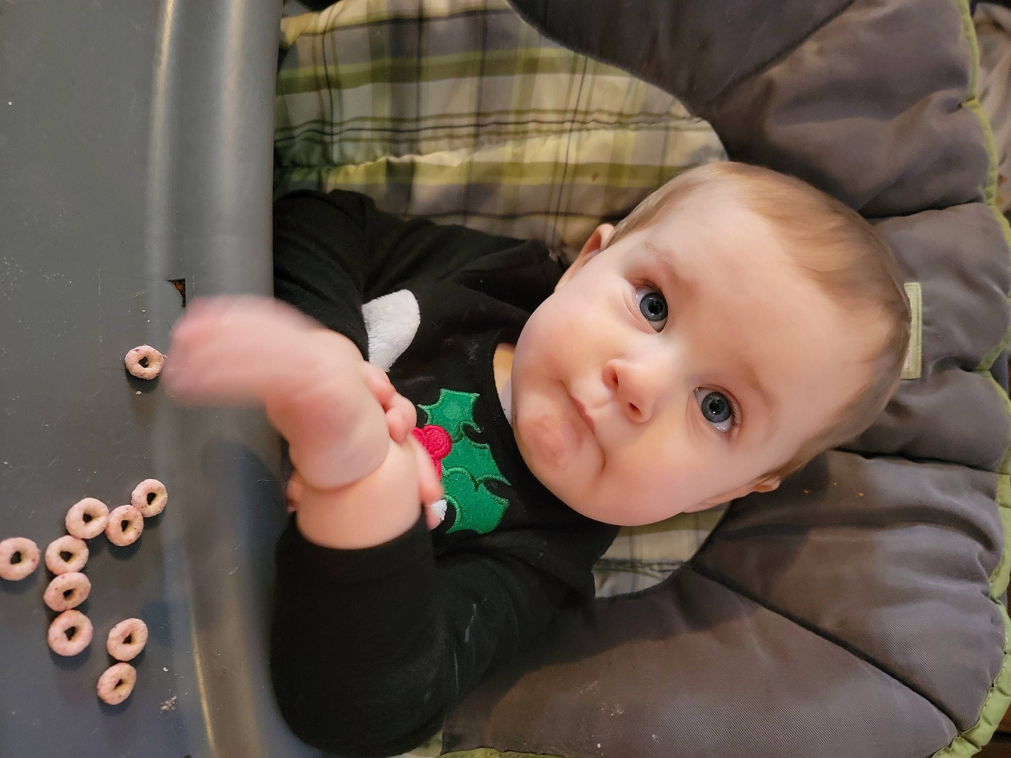 Elia is registered to the contest to win money with this photo: baby, baby_products, baby_toddler_clothing, cheek, child, chin, comfort, eye, finger, fun, gesture, happy, iris, nose, person, plant, skin, sleeve, smile, thumb