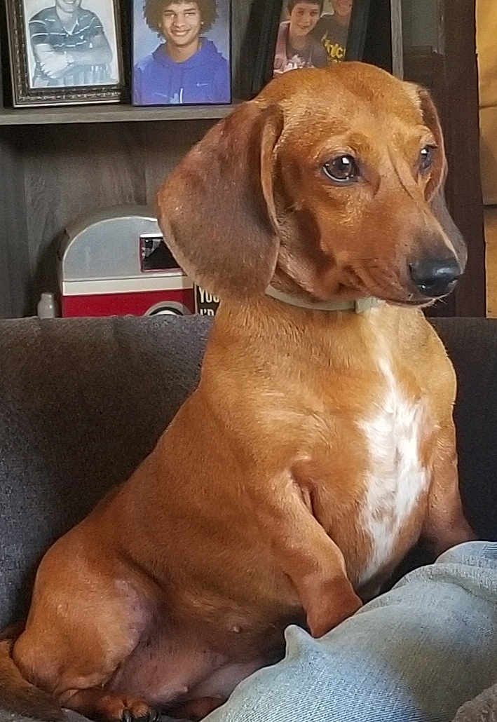 Pepper