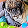 Puggy