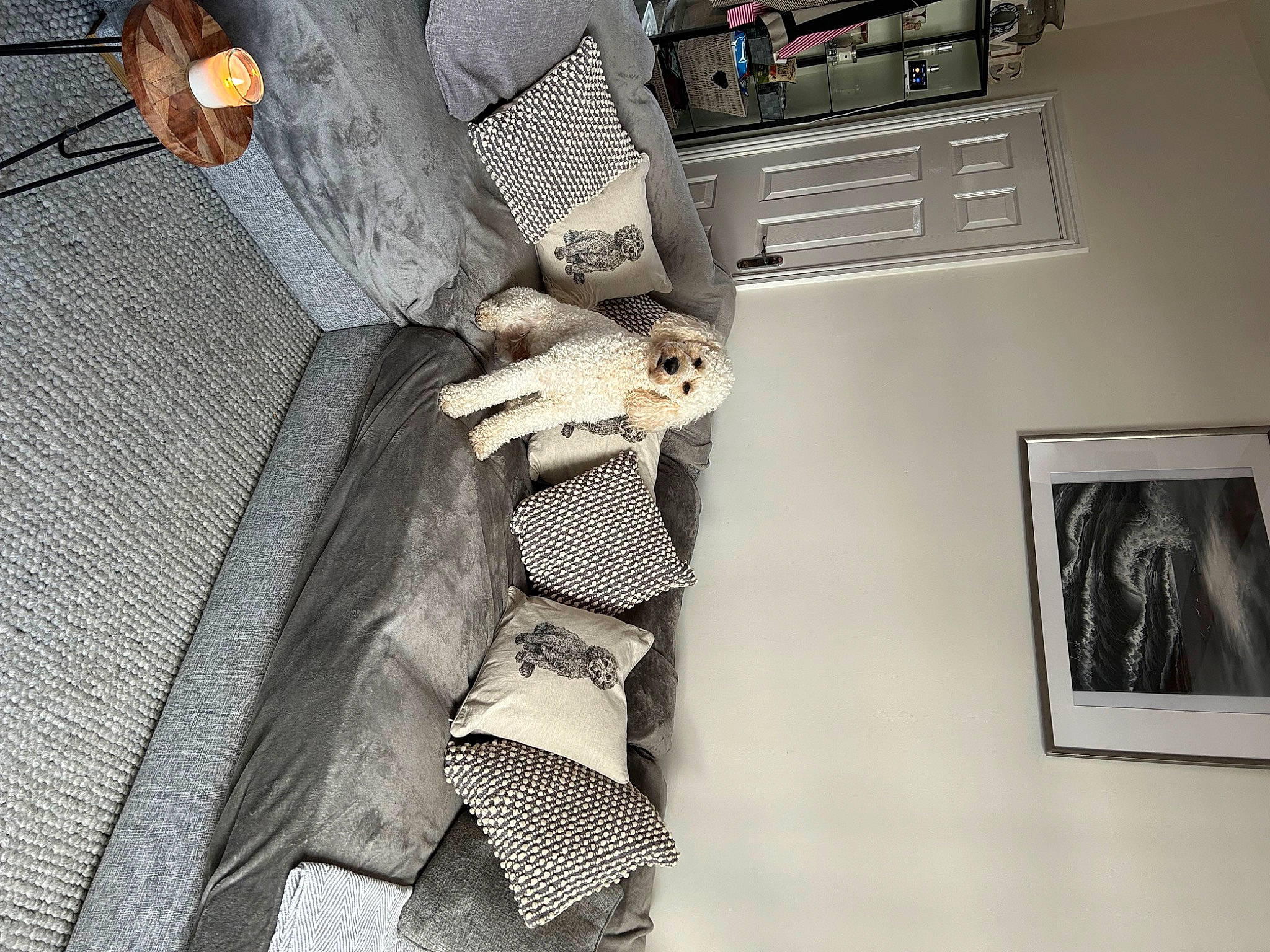 Toby is registered to the contest to win money with this photo: comfort, computer_keyboard, dress, eyewear, fashion_design, flooring, grey, human_leg, input_device, leg, linens, metal, numeric_keypad, office_equipment, pattern, peripheral, picture_frame, thigh, waist, wood