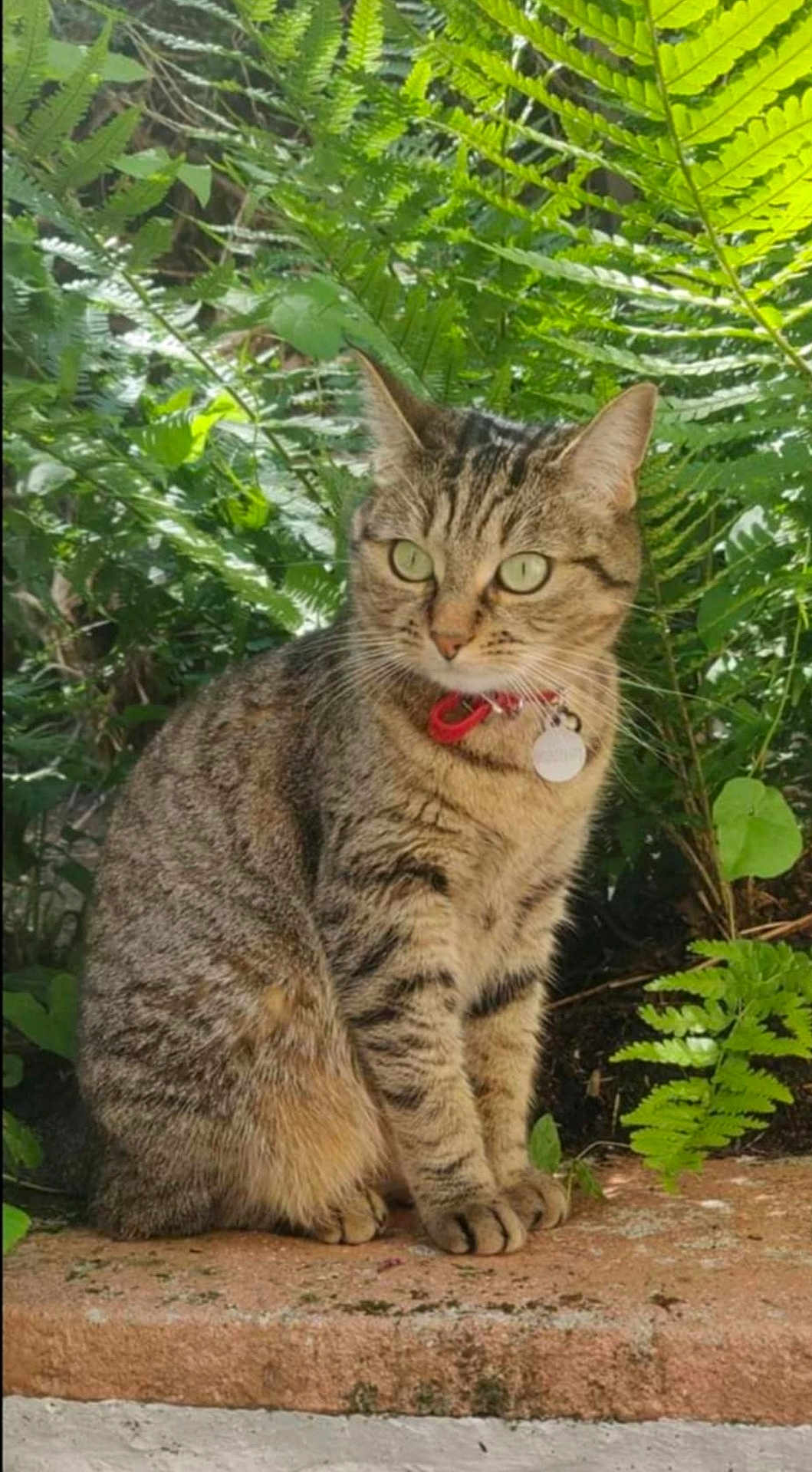 Pixel