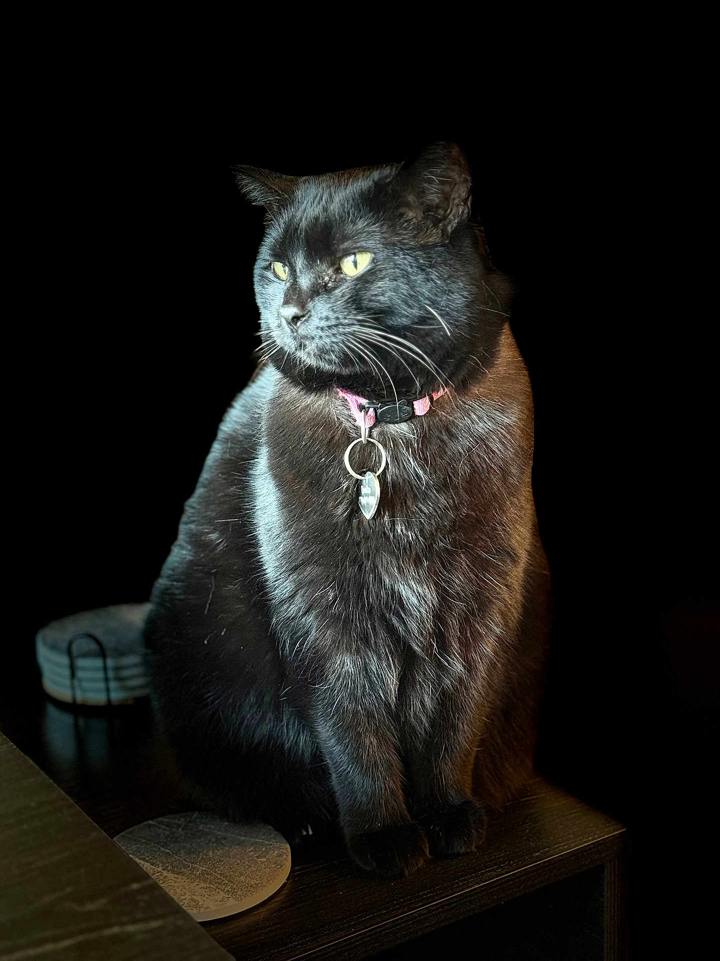 Bella is registered to the contest to win money with this photo: black_cat, cat, pet, feline, collar, tag, indoor, table, wooden_surface, animal, yellow_eyes, fur, sitting, portrait, domestic_cat, whiskers, cute, closeup, dark_background, soft_light