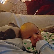 Blaine is registered to the contest to win money with this photo: baby, infant, newborn, bottle, feeding, onesie, dinosaur_print, dog, pet, couch, pillow, blanket, tattooed_arm, closeup, portrait, sleepy, indoor, low_light, resting, family_scene