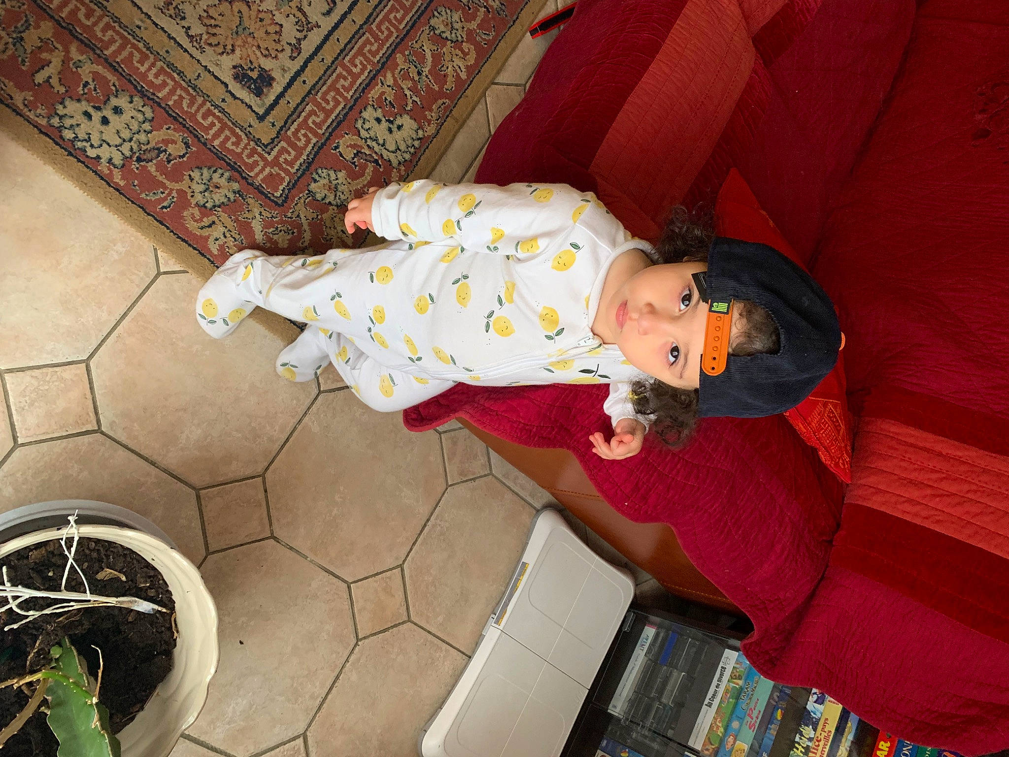 Neyla participe au concours pour gagner de l'argent avec cette photo : baby, baby_toddler_clothing, child, comfort, couch, floor, flooring, flowerpot, fun, hardwood, headwear, herb, houseplant, linens, person, plant, plumbing_fixture, room, sitting, toddler
