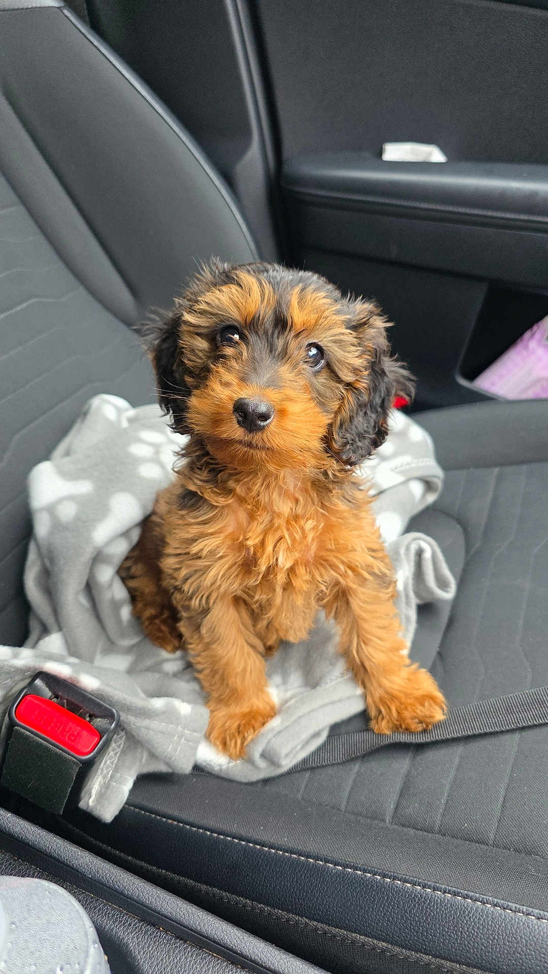 Reggie