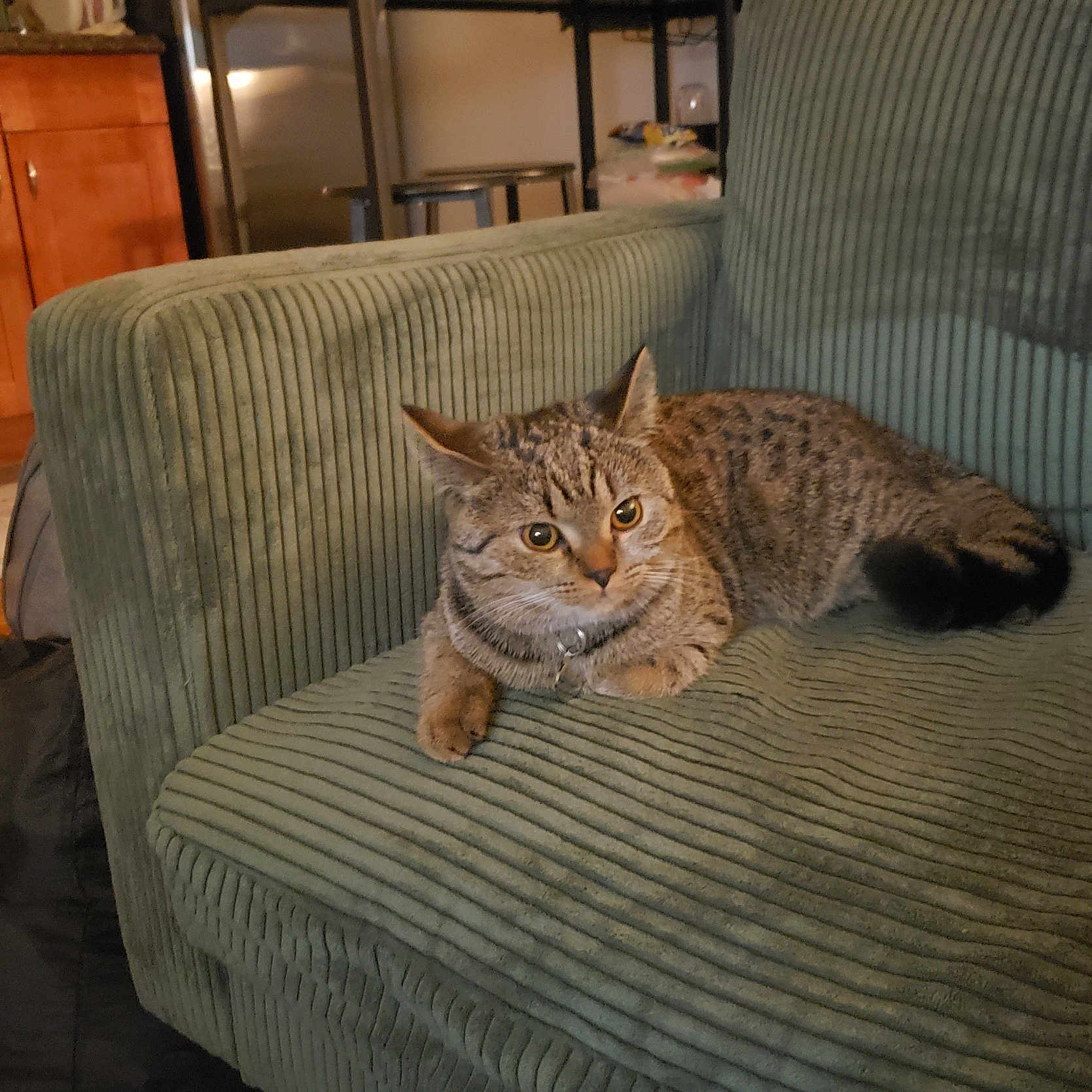 Miso