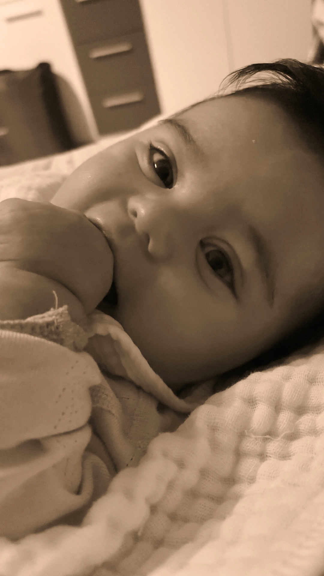 Dulcé participe au concours pour gagner de l'argent avec cette photo : baby, blanket, child, close_up, cozy, cute, expression, face, hand, indoors, infant, newborn, peaceful, portrait, resting, sepia, skin, sleepwear, soft_texture, wrapped