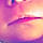 Sindy H.