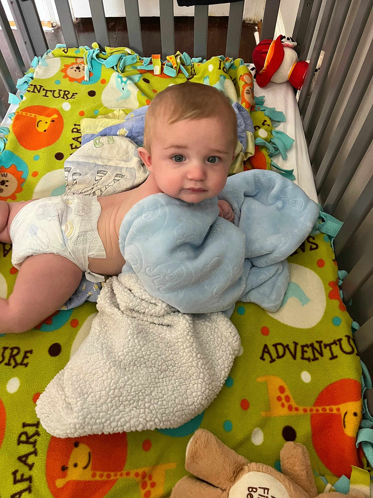Malakai is registered to the contest to win money with this photo: baby, child, crib, blanket, plush_toy, diaper, blue_eyes, soft_toy, safari_pattern, colorful, indoor, infant, cute, toddler, laying_down, face, head, bedroom, comfort, nursery