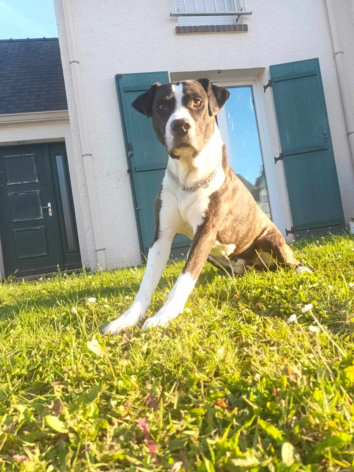 Oscar