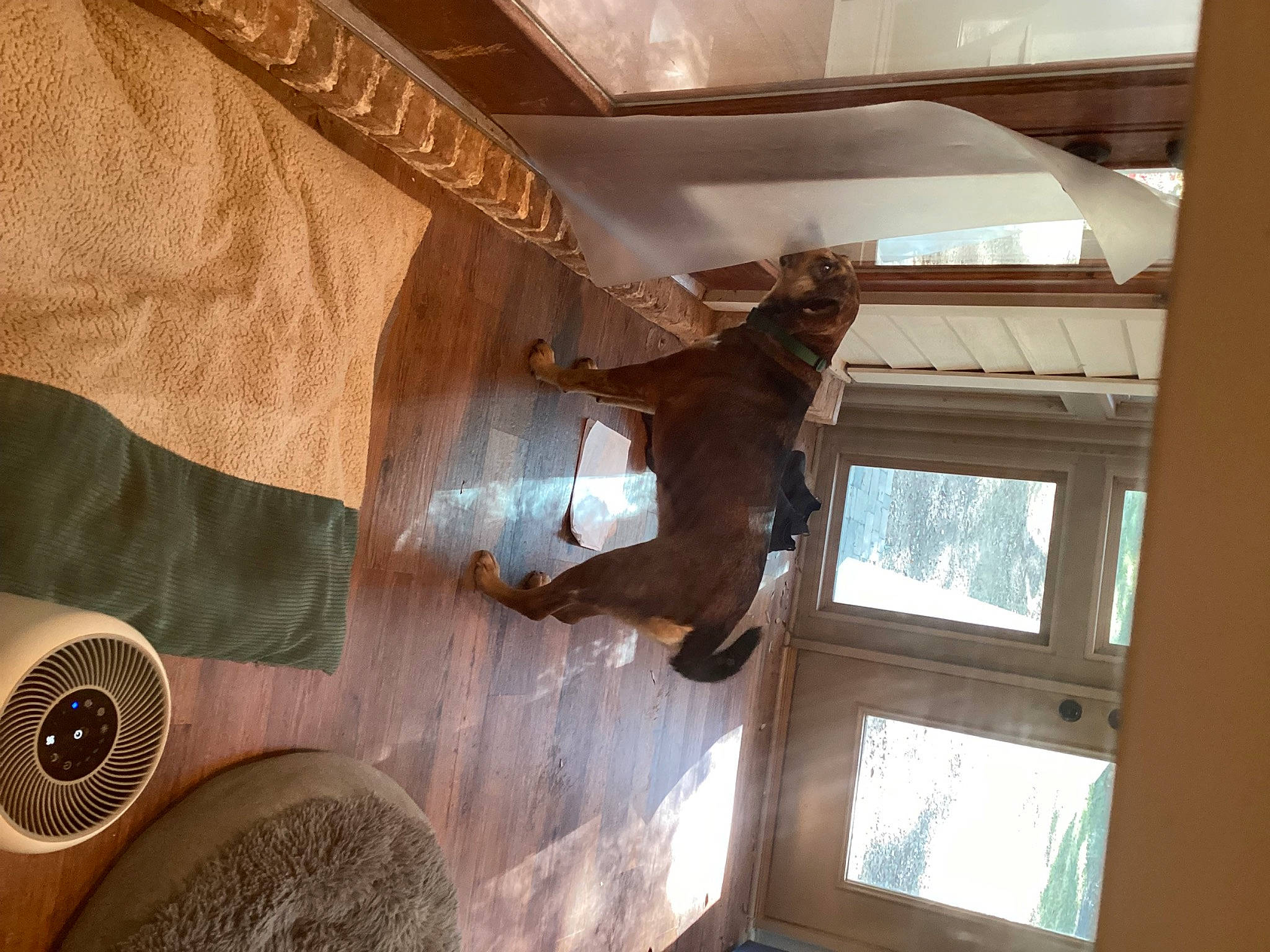 Sprinkles joined the competition — help win amazing prizes! art, beam, brown, building, ceiling, circle, door, floor, flooring, hardwood, house, metal, plant, room, stairs, tints_and_shades, tree, window, wood, wood_stain