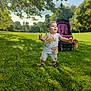 toddler, child, grass, park, stroller, dog, sunlight, trees, outdoor, summer, nature, happy, walking, baby, greenery, casual_clothing, shoes, daytime, playful, scenery
