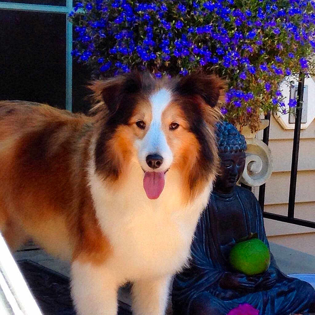 Lola is registered to the contest to win money with this photo: