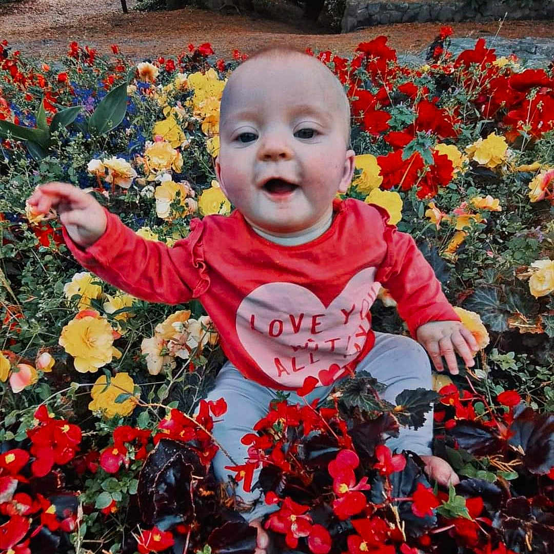 Cardi joined the competition — help win amazing prizes! anemone, daisy, face, flower, grass, head, herbal, herbs, leaf, nature, outdoors, park, person, petal, photography, plant, portrait, pottedplant, tree, vegetation