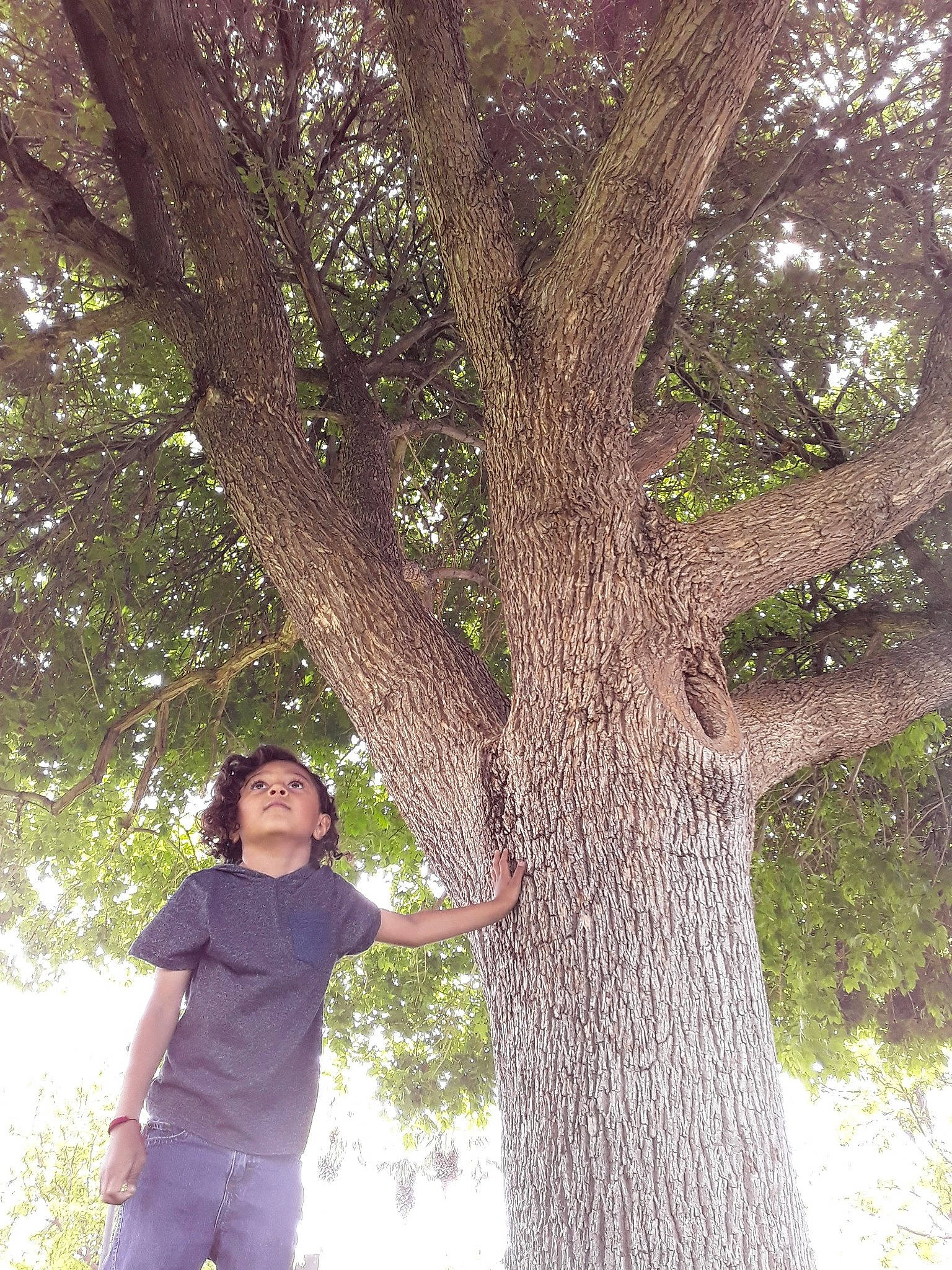 Faythe joined the competition — help win amazing prizes! branch, gesture, grass, happy, people_in_nature, person, photography, plant, plant_stem, smile, spring, standing, tints_and_shades, tree, trunk, woody_plant