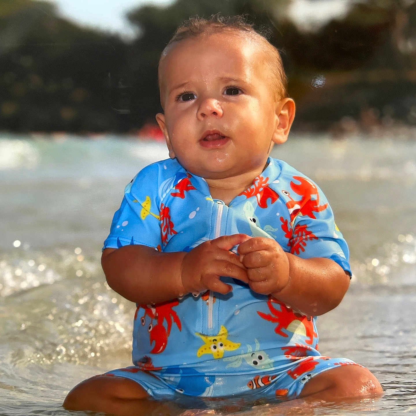 Floriano a rejoint le concours — aidez-le/la à gagner de superbes lots ! baby, beach, child, crabs, cute, nature, ocean, outdoor, portrait, sea_creatures, sitting, starfish, summer, sunlight, swimsuit, toddler, vacation, water, waves, wet