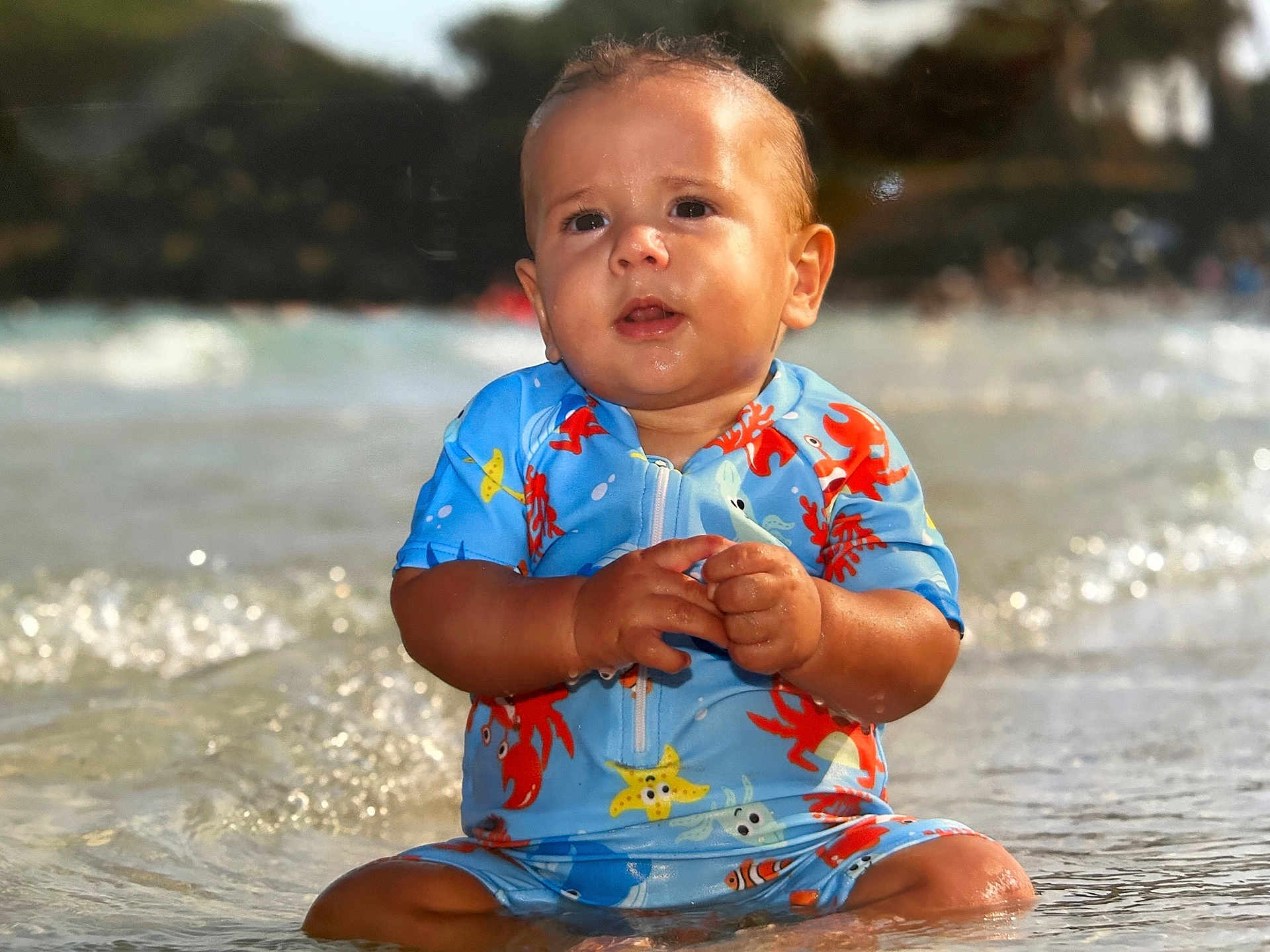 Floriano a rejoint le concours — aidez-le/la à gagner de superbes lots ! baby, child, water, beach, swimsuit, ocean, waves, sitting, summer, cute, wet, outdoor, sunlight, sea_creatures, starfish, crabs, nature, portrait, vacation, toddler