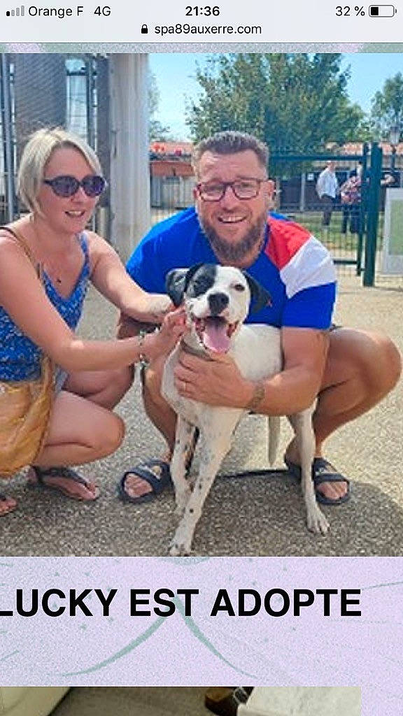 Lucky a rejoint le concours — aidez-le/la à gagner de superbes lots ! carnivore, companion_dog, dog, dog_breed, eyewear, fawn, footwear, goggles, happy, plant, sandal, shoe, shorts, sky, smile, sneakers, sporting_group, sunglasses, thigh, tree