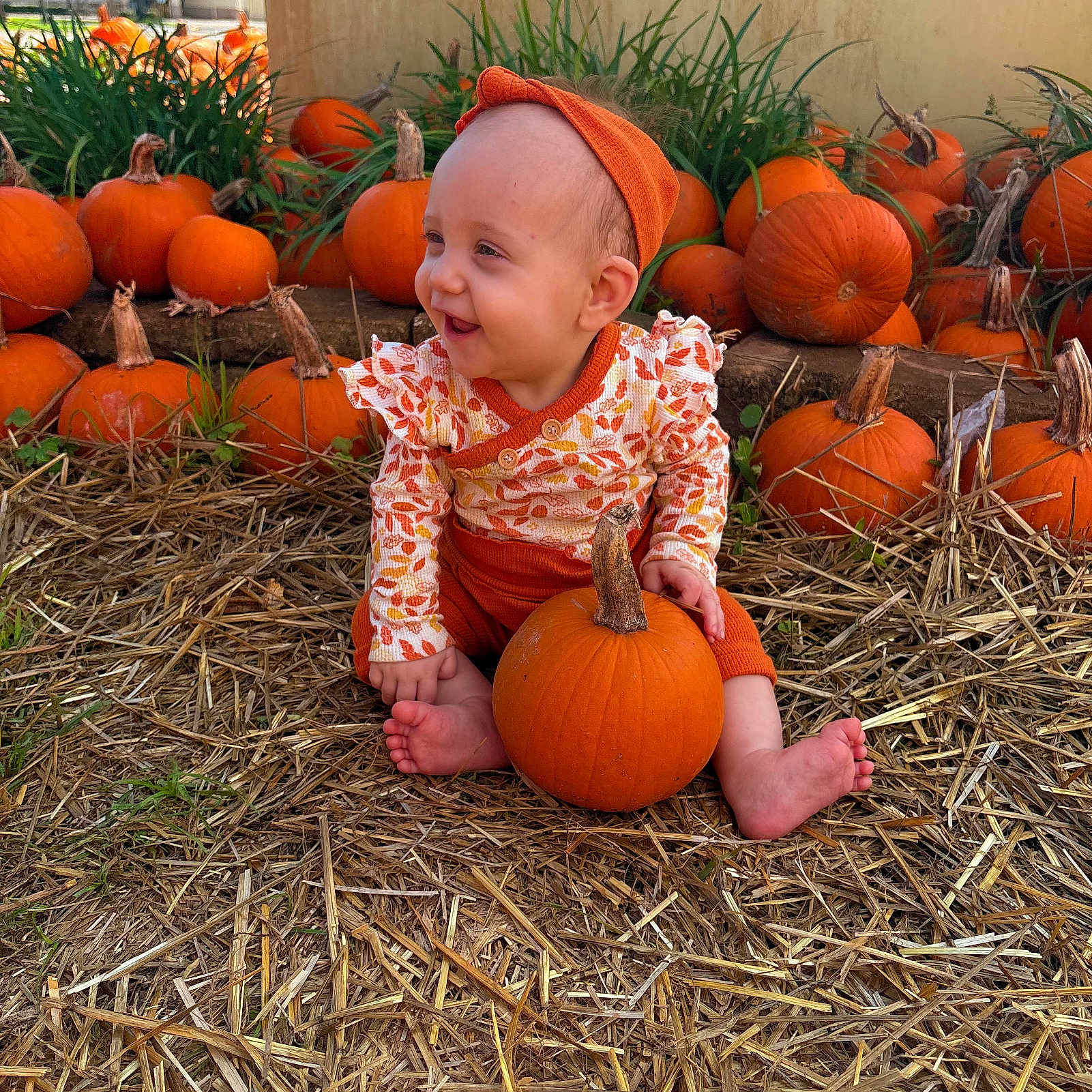 Esme joined the competition — help win amazing prizes! baby, child, pumpkin, halloween, autumn, fall, orange, outdoor, garden, pumpkin_patch, straw, hay, sitting, smiling, laughing, headband, outfit, portrait, harvest, seasonal