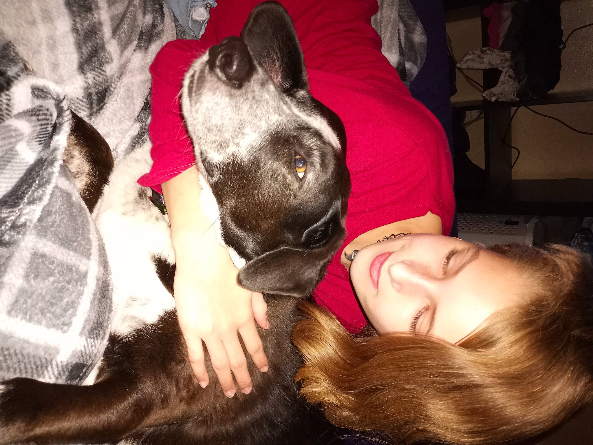 Lia is registered to the contest to win money with this photo: canidae, carnivore, comfort, companion_dog, dog, dog_breed, ear, flash_photography, flesh, fun, fur, guard_dog, happy, joy, lap, love, non_sporting_group, person, puppy_love, selfie