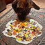 animal, brown_dog, closeup, cucumber, curious, decorative_plate, dog, floor, floppy_ears, food, home, indoor, kitchen, meal, orange_sauce, pet, plate, rug, sniffing, tile_floor