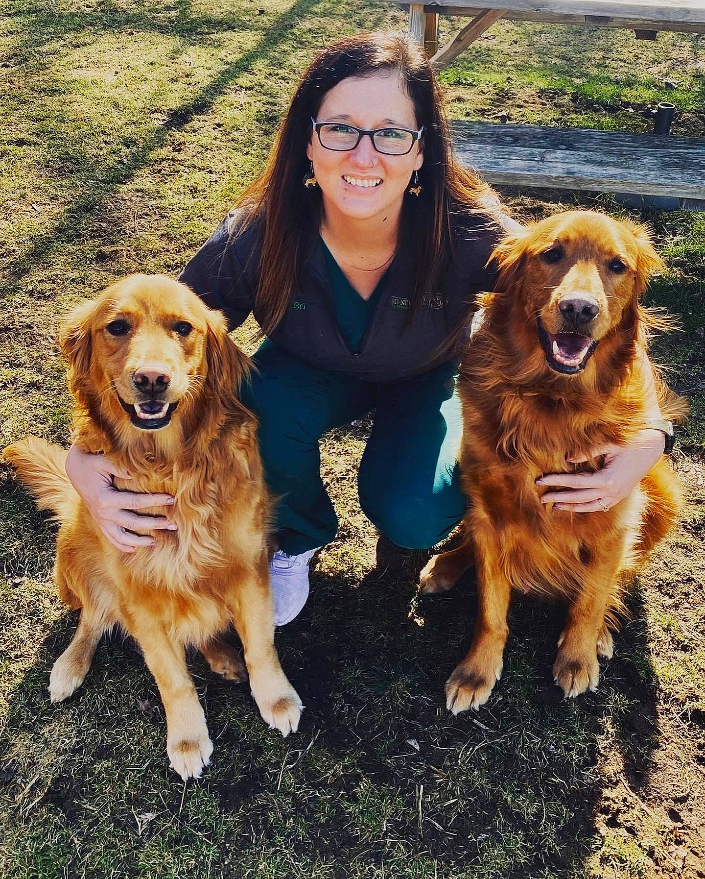Sampson joined the competition — help win amazing prizes! canidae, carnivore, companion_dog, dog, dog_breed, eyewear, fawn, fun, fur, golden_retriever, grass, gun_dog, happy, people_in_nature, plant, smile, sporting_group, working_animal, working_dog
