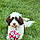 Annabelle
