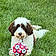 Annabelle