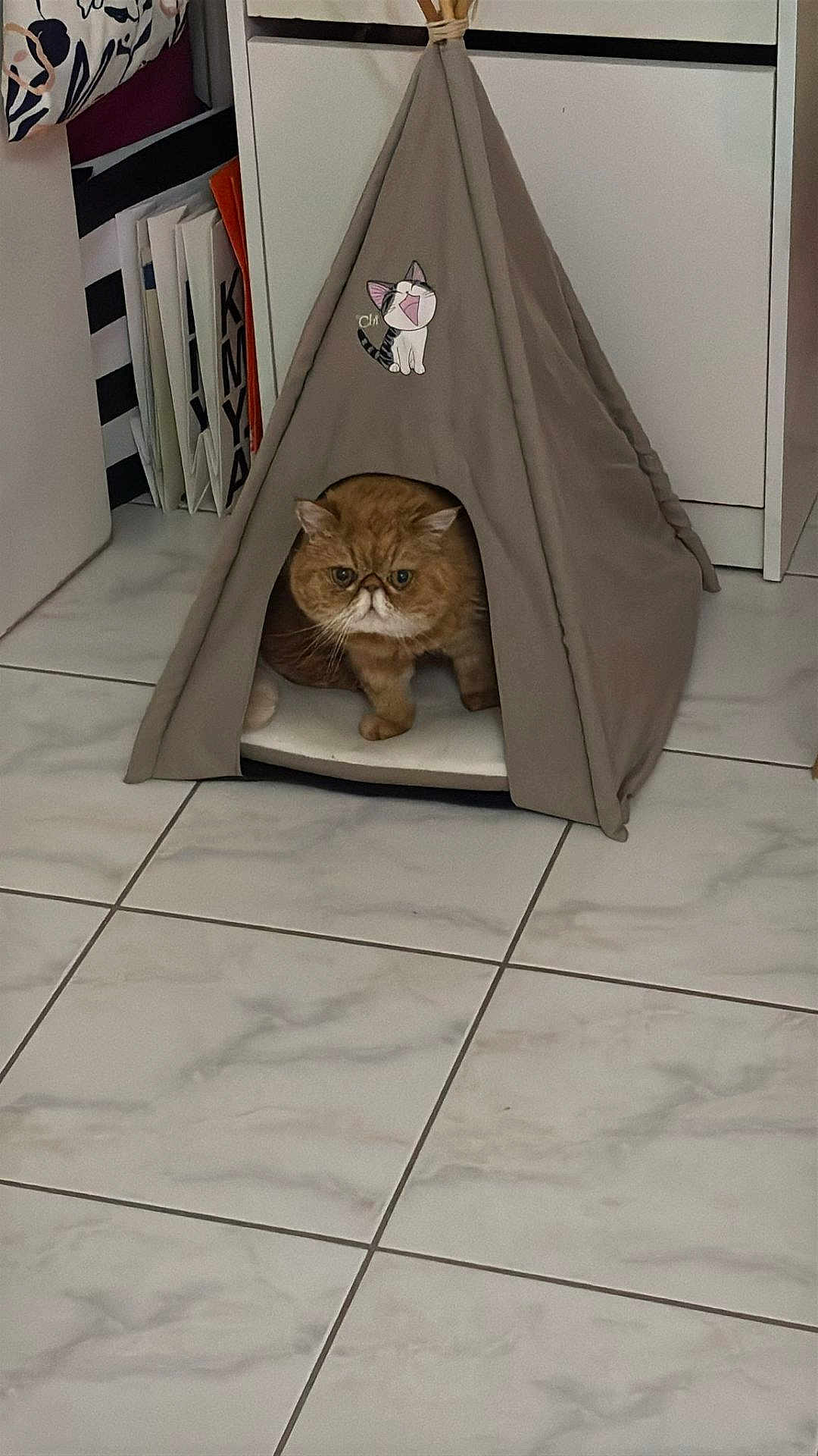 Kiki