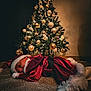 baby, carpet, christmas_tree, cozy, decorations, fairy_lights, festive, floor, holiday, indoor, newborn, night, ornaments, peaceful, plush_trim, portrait, red_clothing, santa_costume, sleeping, warm_lighting