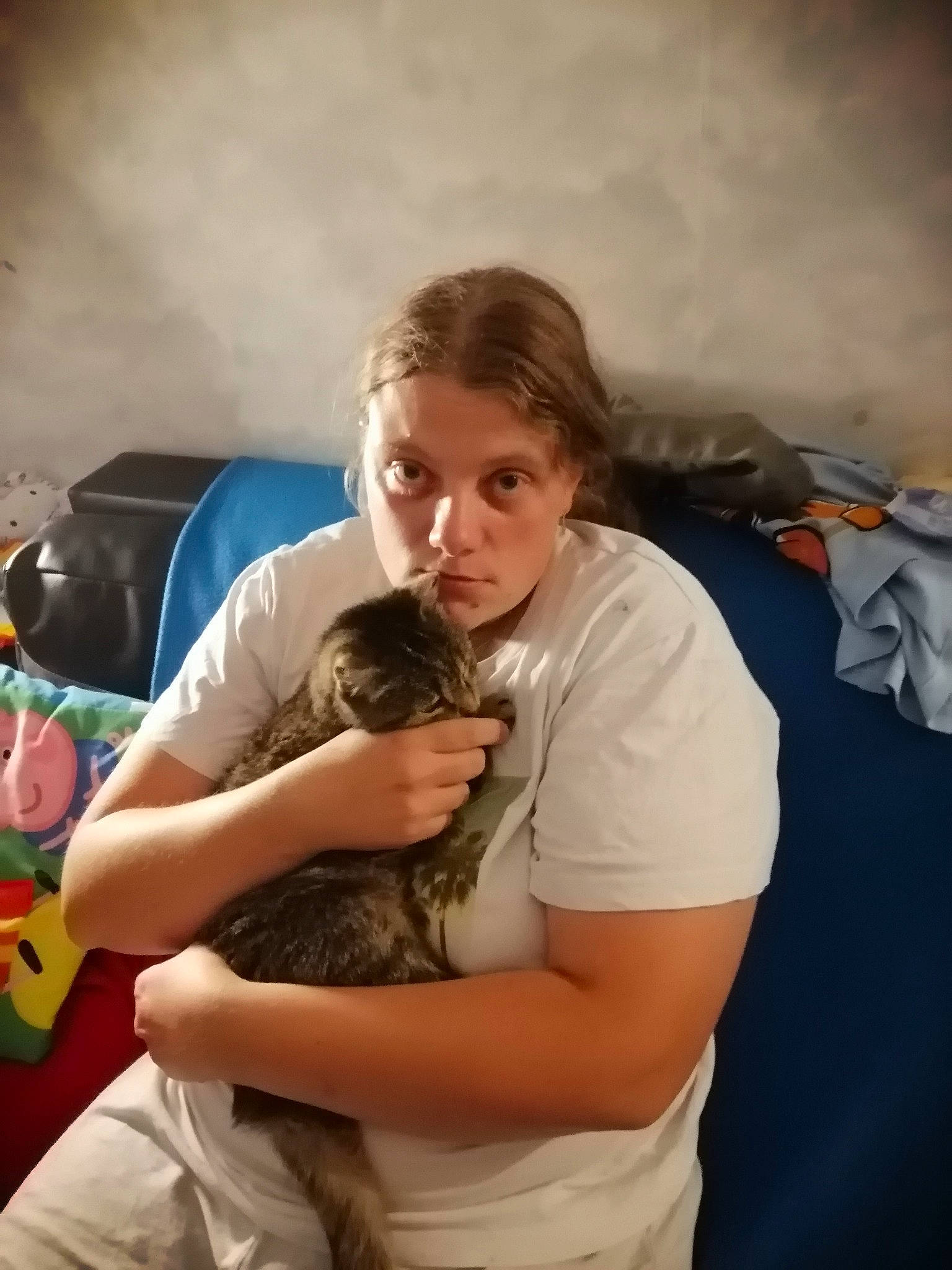 Chipie a rejoint le concours — aidez-le/la à gagner de superbes lots ! ball, canidae, cat, comfort, companion_dog, elbow, fawn, felidae, flash_photography, fun, fur, hand, happy, human_leg, leisure, room, shorts, shoulder, sitting, t_shirt