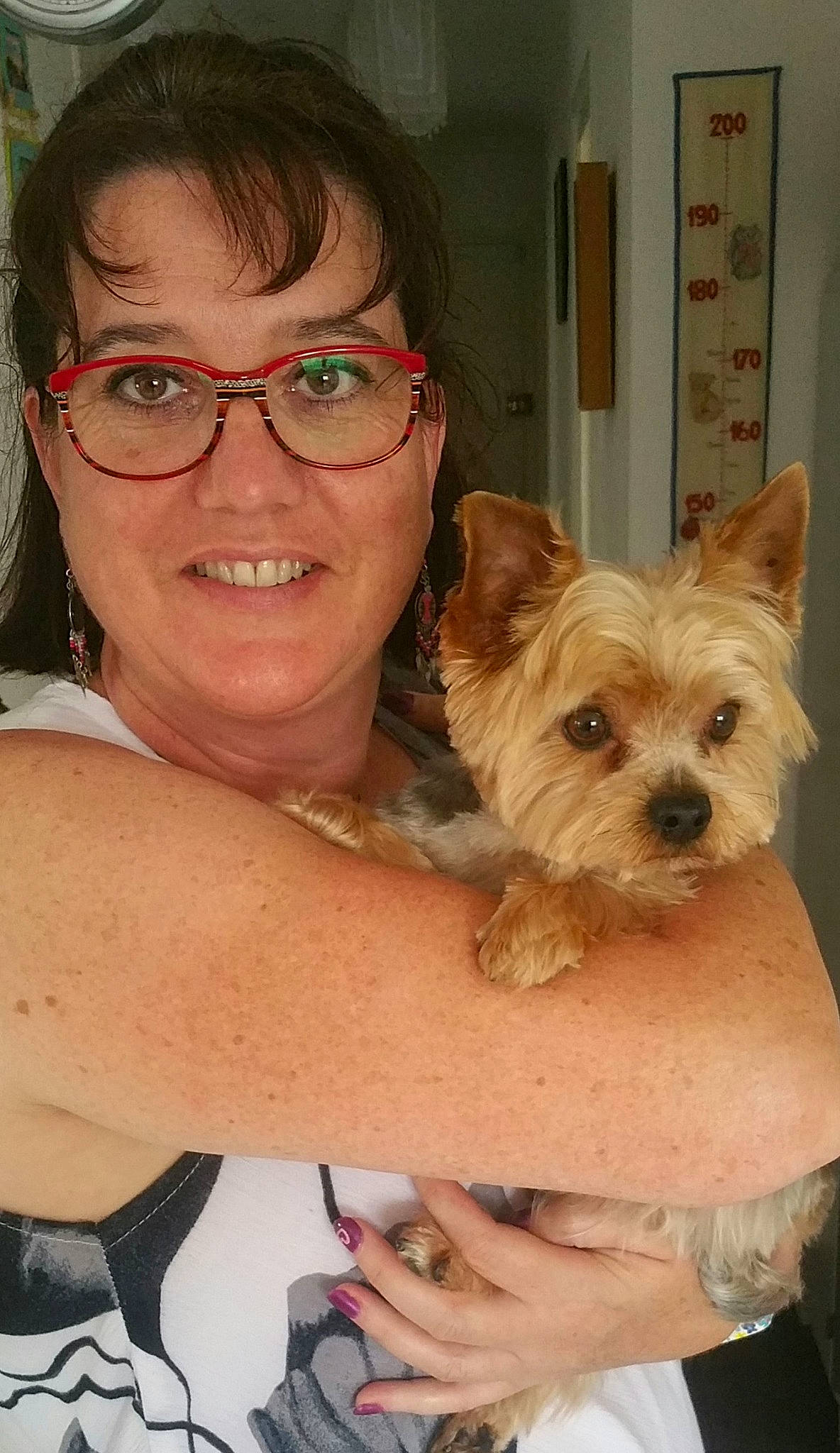 Epice a rejoint le concours — aidez-le/la à gagner de superbes lots ! blond, cairn_terrier, canidae, carnivore, companion_dog, dog, dog_breed, ear, eye, eyewear, glasses, hair, head, mammal, morkie, norwich_terrier, skin, small_terrier, terrier, yorkshire_terrier