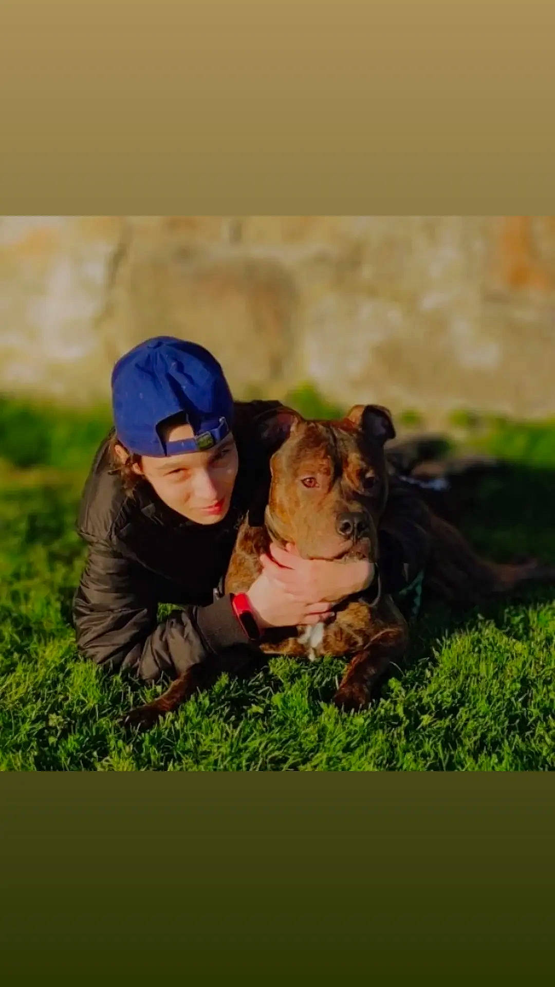 Tyson a rejoint le concours — aidez-le/la à gagner de superbes lots ! baby, cap, companion_dog, dog_breed, fawn, flash_photography, fun, fur, grass, grassland, happy, landscape, love, meadow, pasture, people_in_nature, plant, prairie, romance, sitting