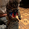 Zues joined the competition — help win amazing prizes! animal, boxing_gloves, casual_clothing, cat, closeup, cute, domestic_cat, flooring, furry, indoor, kitten, patterned_floor, paw, person, pet, puerto_rico_flag, ripped_jeans, sitting, tabby, young_cat