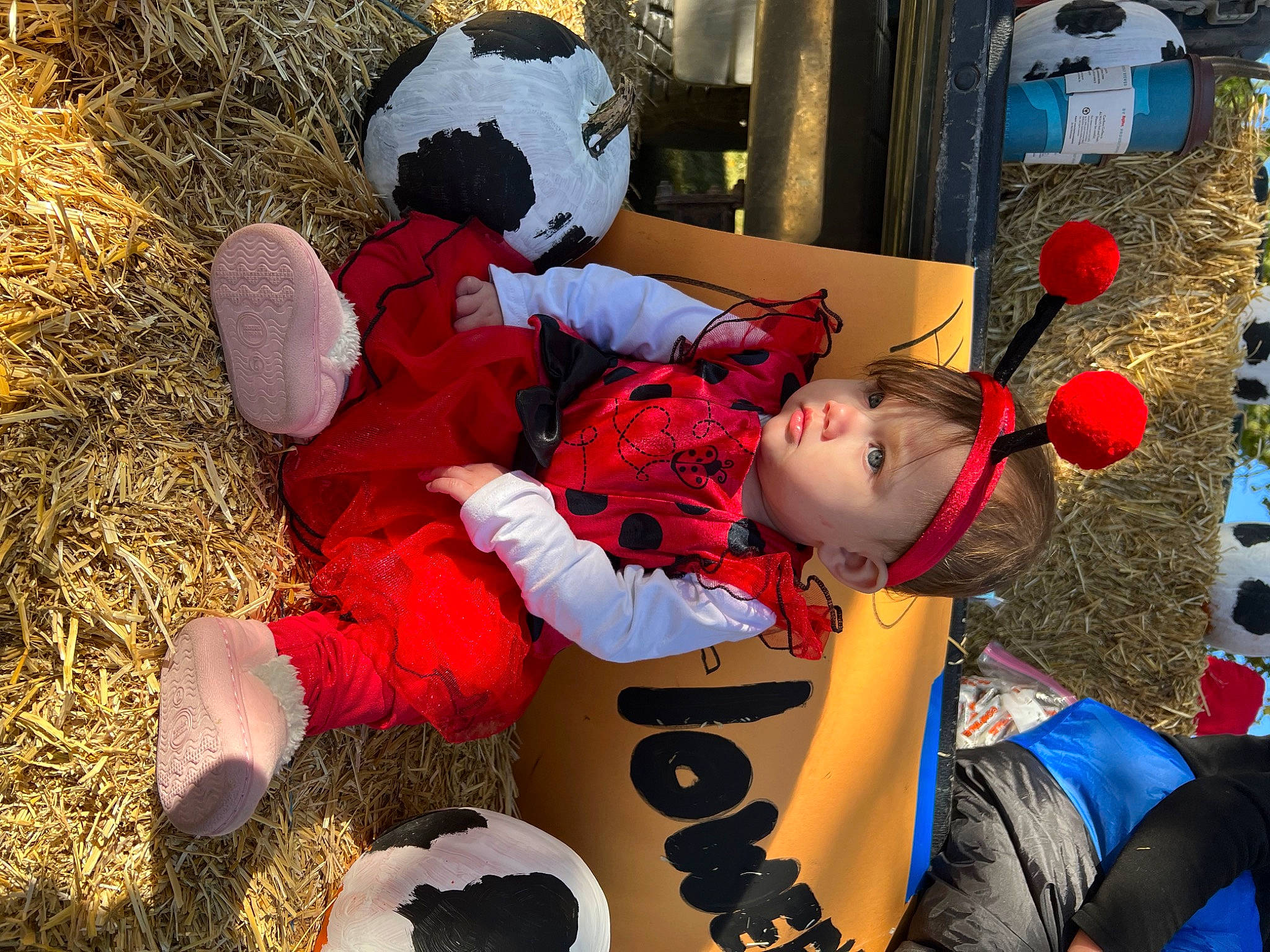 Nova is registered to the contest to win money with this photo: arm, carmine, child, event, fun, grass, happy, hat, headwear, holiday, leisure, person, plant, play, plush, recreation, stuffed_toy, toddler, tree, white