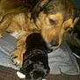 Cocoa is registered to the contest to win money with this photo: