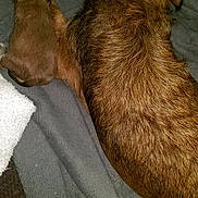 Cocoa is registered to the contest to win money with this photo: