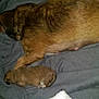 Cocoa is registered to the contest to win money with this photo: