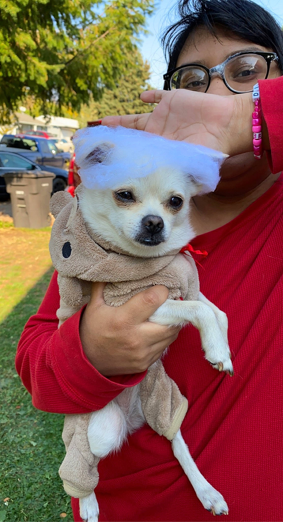 Lady joined the competition — help win amazing prizes! canidae, carnivore, companion_dog, dog, dog_breed, dog_clothes, eyewear, fashion_accessory, fawn, fun, fur, grass, happy, plant, snout, sporting_group, sunglasses, toy_dog, tree, vision_care