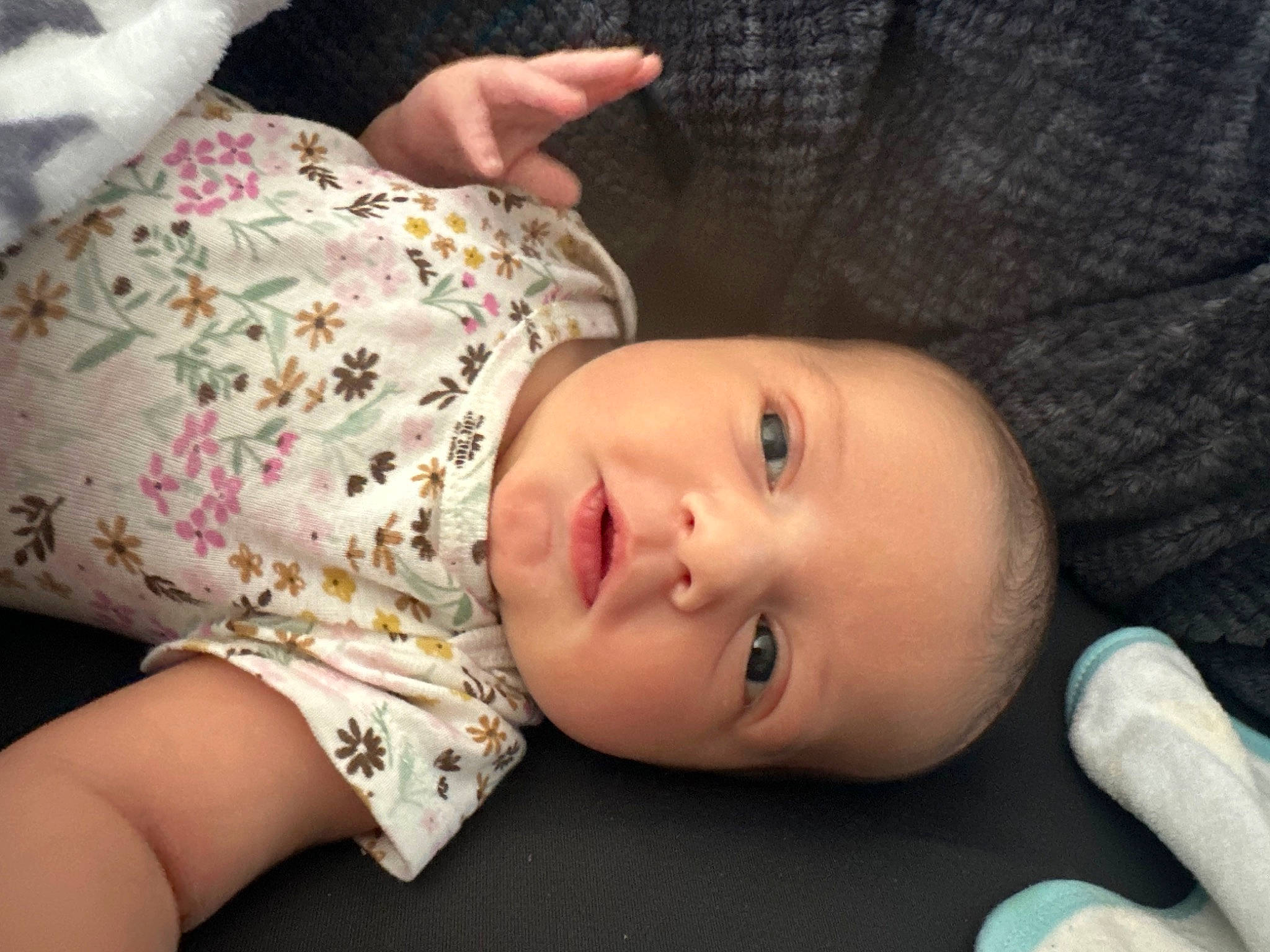 Sarabeth joined the competition — help win amazing prizes! baby, baby_toddler_clothing, cheek, child, comfort, eye, eyelash, finger, flash_photography, grass, head, human_body, iris, lip, mouth, nose, person, skin, sleeve, toddler