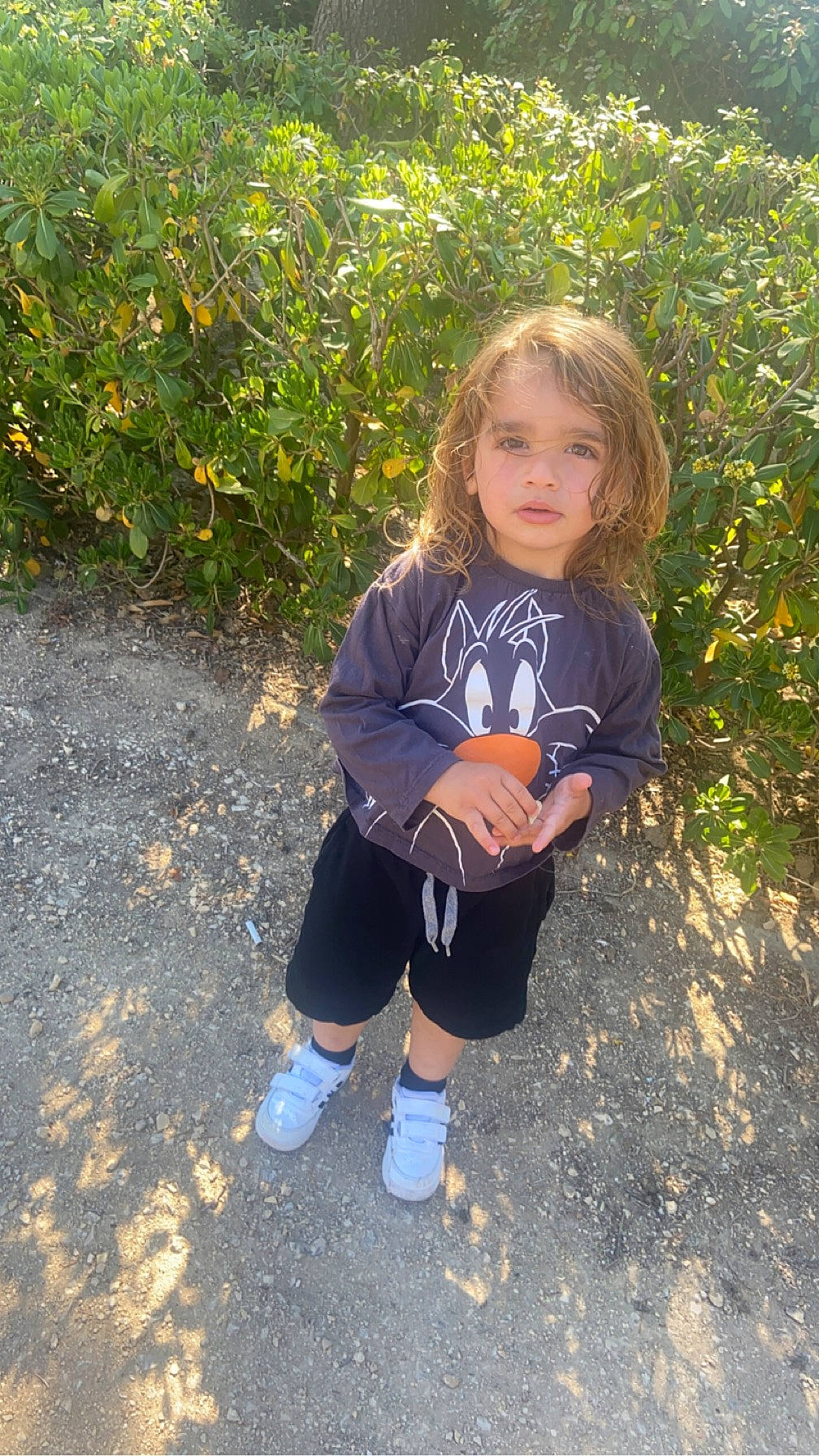 Sandro a rejoint le concours — aidez-le/la à gagner de superbes lots ! baby_toddler_clothing, child, deciduous, flowering_plant, fun, garden, grass, happy, knee, leisure, people_in_nature, person, plant, shadow, shorts, sitting, sleeve, soil, t_shirt, thigh