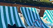Bear joined the competition — help win amazing prizes! accessories, beach, beach_chair, black_dog, blue_sky, daytime, dog, furniture, greenery, handbag, leisure, outdoor, pet, relaxing, striped_towel, summer, sunny, umbrella, vacation, wood_fence
