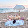 Bear is registered to the contest to win money with this photo: beach, dog, black_dog, party_hat, pillows, blanket, table, cake, flowers, umbrella, ocean, sand, sunset, picnic, plush_toys, basket, decor, relaxation, celebration, outdoor