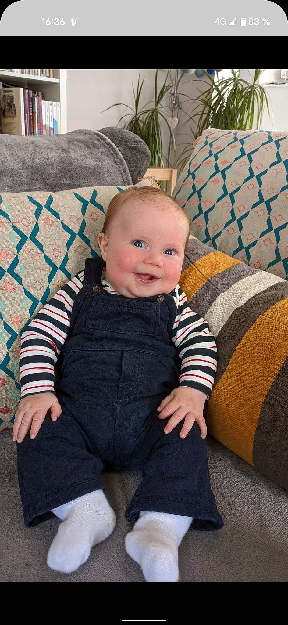 Auguste participe au concours pour gagner de l'argent avec cette photo : azure, baby, baby_toddler_clothing, cheek, comfort, couch, flooring, flowerpot, furniture, happy, houseplant, iris, joy, person, plant, product, sitting, sleeve, smile, textile