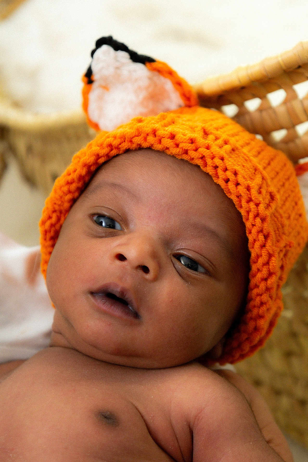 Eden participe au concours pour gagner de l'argent avec cette photo : baby, infant, face, headwear, knitted_hat, orange_hat, expression, skin, basket, closeup, newborn, portrait, cute, child, eyes, mouth, soft_light, indoors, cozy, warm