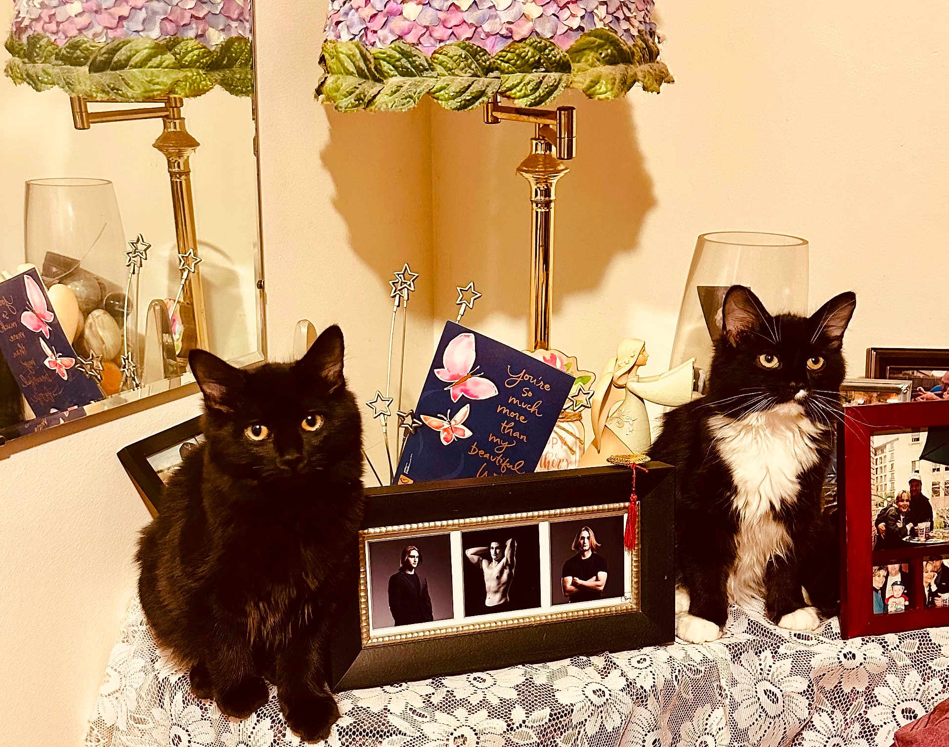 Sophie And Sassy