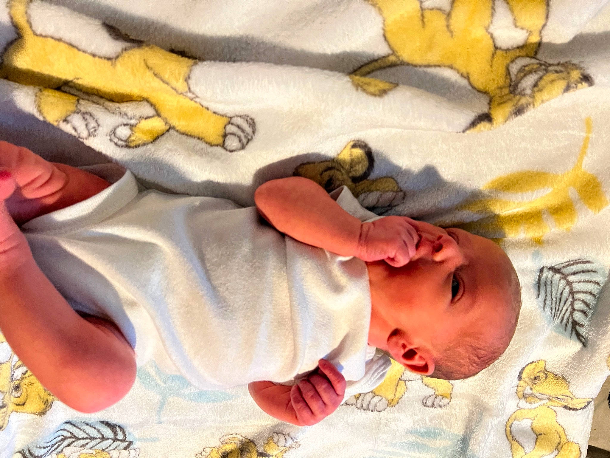 Harley is registered to the contest to win money with this photo: art, baby, baby_products, baby_safety, baby_sleeping, baby_toddler_clothing, bedtime, cheek, child, comfort, gesture, illustration, linens, orange, pattern, person, sleeve, textile, toddler, visual_arts