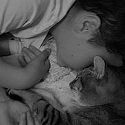 Sweet participe au concours pour gagner de l'argent avec cette photo : animal, baby, bed, bodypart, cat, couch, cushion, face, finger, furniture, hand, head, homedecor, indoors, newborn, person, pet, photography, portrait, sleeping