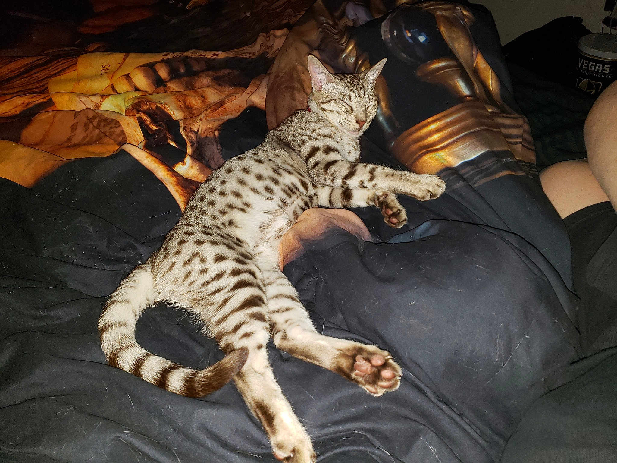 Kira