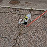 animal, batman_shirt, canine, casual, costume, cracked_pavement, curb, daytime, dog, grass, leash, outdoor, pavement, pet, sidewalk, small_dog, standing, street, superhero, walking